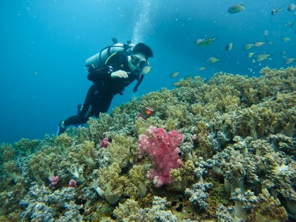 Nha Trang Snorkeling Tour BBQ Onboard